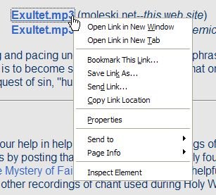RIGHT-CLICK and select Save Link As