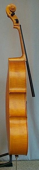 c38s