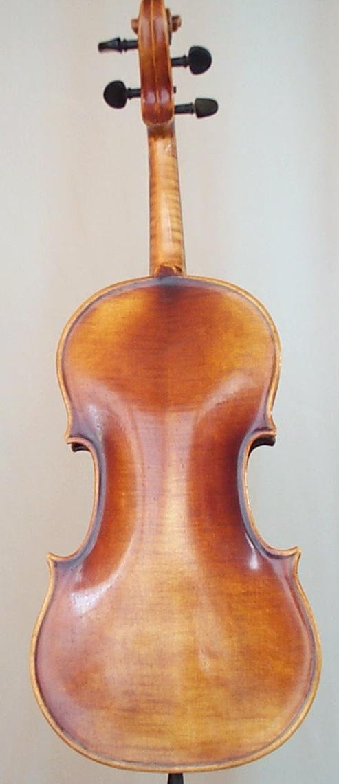 v79b