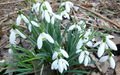 Thumbnail for version as of 18:12, 16 March 2012